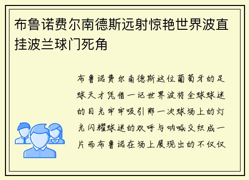 布鲁诺费尔南德斯远射惊艳世界波直挂波兰球门死角